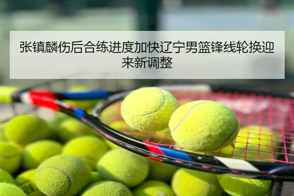 张镇麟伤后合练进度加快辽宁男篮锋线轮换迎来新调整