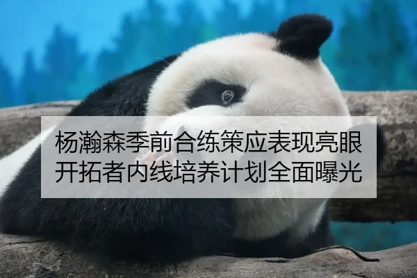 杨瀚森季前合练策应表现亮眼 开拓者内线培养计划全面曝光