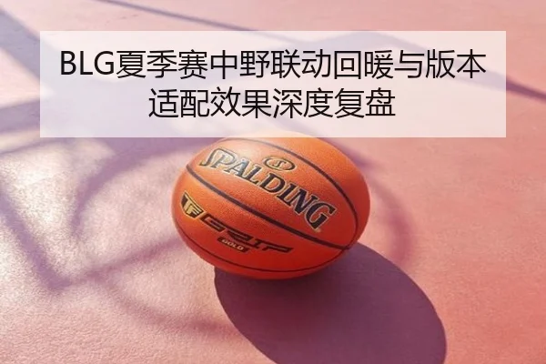 BLG夏季赛中野联动回暖与版本适配效果深度复盘